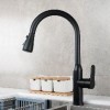 Pull-out Vegetable Pot faucets