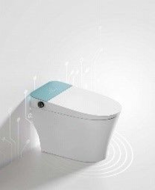 Intelligent Toilet